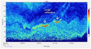 Imagen de Signature VM Ocean – 100 KHZ