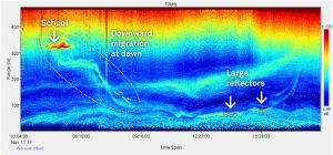 Imagen de Signature VM Ocean – 100 KHZ