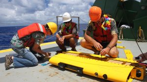 Imagen de Wirewalker